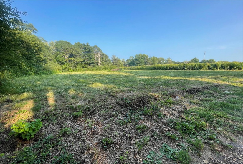 0 Remann St., Vandalia, Illinois 62471, ,Land,For Sale,Remann St.,MAR23054134